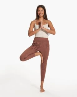 Lux At Ease Pant | Hazelnut Heather -Chic Warp Sales VW427HHZ FA23 W ECOMM PANTS FULL 2
